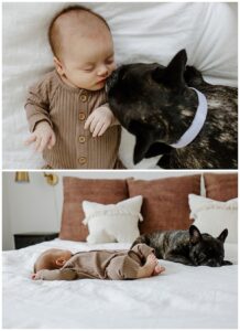 After Preparing For Your Newborn Storytelling Session dog and baby cuddle in close together