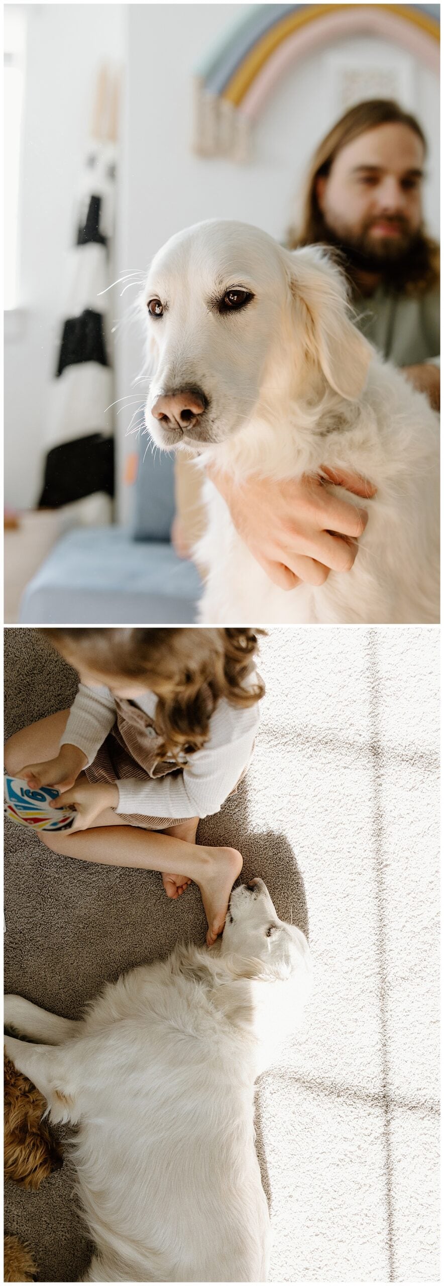 Family dogs lay with the family for Our Adventuring Souls Photography